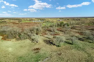 19 Co Rd 721, Kosse, TX 76653 - Photo 6