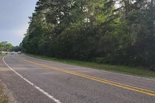 15203 Bart Lake Rd, Conroe, TX 77303 - Photo 2