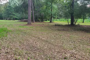 15203 Bart Lake Rd, Conroe, TX 77303 - Photo 4