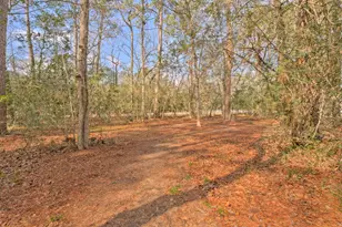 8903 Sendera Dr, Magnolia, TX 77354 - Photo 32