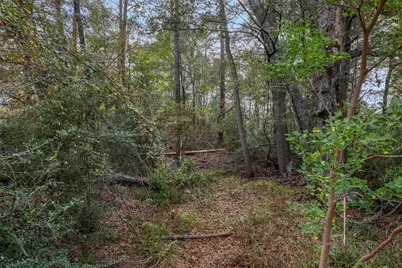 9445 County Road 132, Centerville, TX 75833 - Photo 40