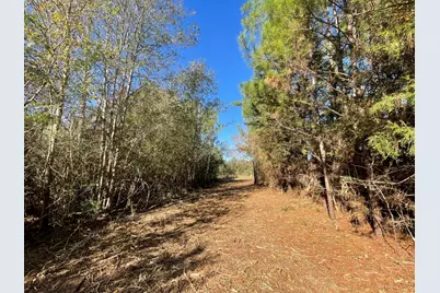 Lot 6 E Fm 942, Camden, TX 75934 - Photo 8