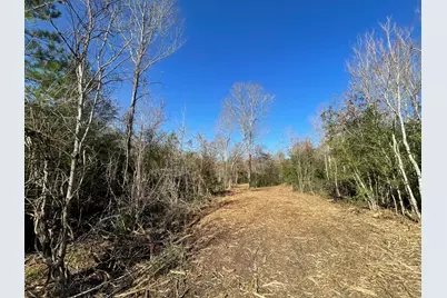 Lot 6 E Fm 942, Camden, TX 75934 - Photo 14