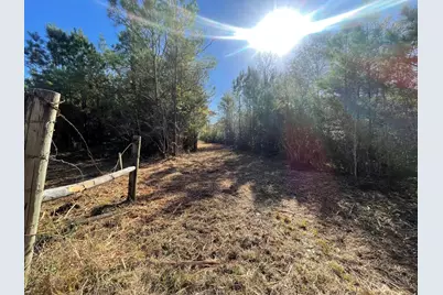 Lot 6 E Fm 942, Camden, TX 75934 - Photo 6