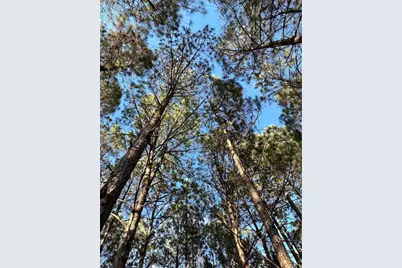 0 Wheeler, Colmesneil, TX 75938 - Photo 2