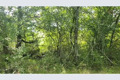 Tbd County Road 213, Anderson, TX 77830 - Photo 12