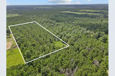 4012 Fm 2992, Woodville, TX 77660 - Photo 4