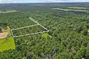 4012 Fm 2992, Woodville, TX 77660 - Photo 1