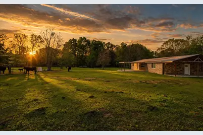 317 County Road 4392, Hillister, TX 77624 - Photo 4