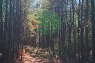 41663 Wendele Wy, Montgomery, TX 77316 - Photo 26