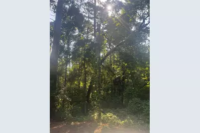 Tbd Buckeye Lane, Point Blank, TX 77364 - Photo 8