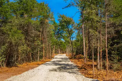 12556 Red Hill Rd, Hearne, TX 77859 - Photo 2
