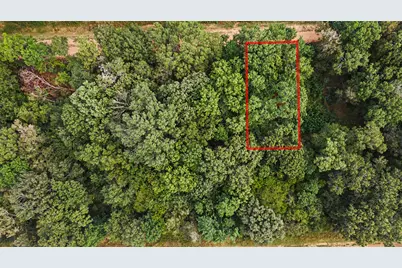 0 Holt Street, Coldspring, TX 77331 - Photo 4