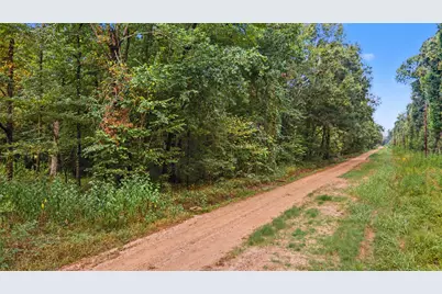 0 Holt Street, Coldspring, TX 77331 - Photo 2