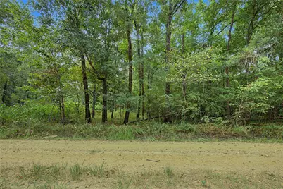 0 Holt Street, Coldspring, TX 77331 - Photo 14