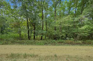 0 Holt St, Coldspring, TX 77331 - Photo 1