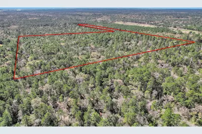 Tbd Cr 302, Plantersville, TX 77363 - Photo 4