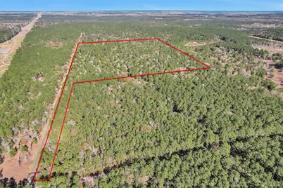 Tbd Cr 302, Plantersville, TX 77363 - Photo 6