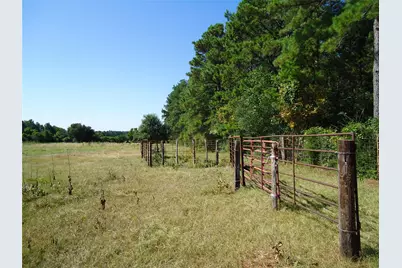 788 Fm-2781, Groveton, TX 75845 - Photo 16