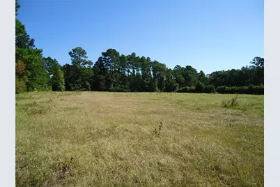 788 Fm-2781, Groveton, TX 75845 - Photo 18