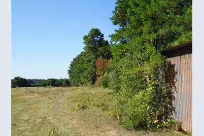 788 Fm-2781, Groveton, TX 75845 - Photo 26