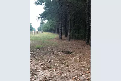 13136 Fm 943, Livingston, TX 77351 - Photo 8