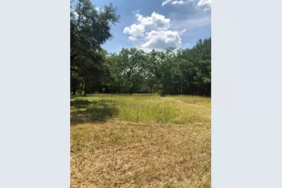 13136 Fm 943, Livingston, TX 77351 - Photo 16