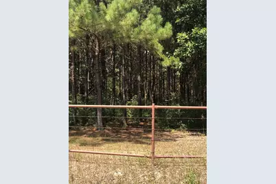 13136 Fm 943, Livingston, TX 77351 - Photo 34