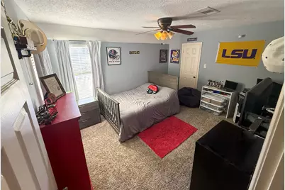2910 Woodland Ridge Drive, Houston, TX 77345 - Photo 12