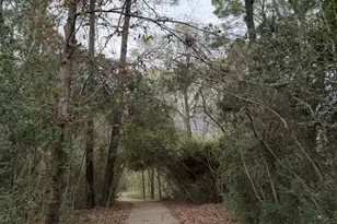 5323 Mulberry Grove Dr, Kingwood, TX 77345 - Photo 32