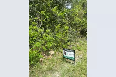 0 Robin Hood Lane, Shepherd, TX 77371 - Photo 6