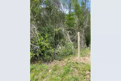 0 Robin Hood Lane, Shepherd, TX 77371 - Photo 2