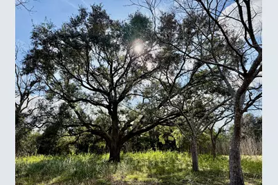 851 County Road 149, Alvin, TX 77511 - Photo 4
