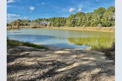 851 County Road 149, Alvin, TX 77511 - Photo 10