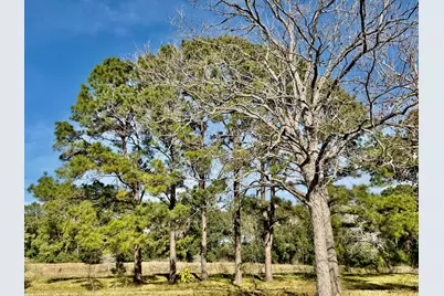 851 County Road 149, Alvin, TX 77511 - Photo 6