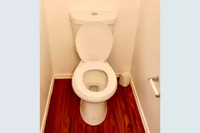 1319 Hollowood Lane, Missouri City, TX 77489 - Photo 14