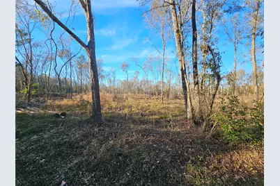Lot 4 Sherwood Drive, Shepherd, TX 77371 - Photo 12