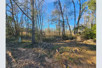 Lot 4 Sherwood Drive, Shepherd, TX 77371 - Photo 10