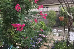 3302 Hunterwood Dr, Missouri City, TX 77459 - Photo 18