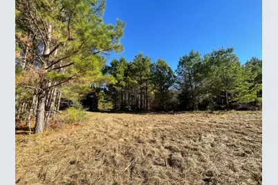 Lot 4 E Fm 942, Camden, TX 75934 - Photo 22