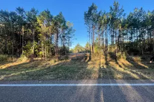 Lot 4 E Fm 942, Camden, TX 75934 - Photo 1