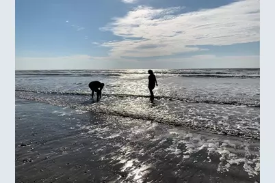 13202 Gulf Beach Drive, Freeport, TX 77541 - Photo 32