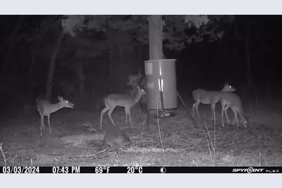 Lot 1 Cr 389, Jewett, TX 75846 - Photo 48