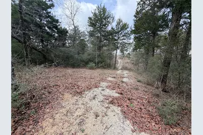 Lot 1 Cr 389, Jewett, TX 75846 - Photo 36