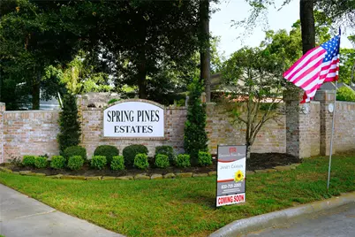 14206 Spring Pines Drive, Tomball, TX 77375 - Photo 2