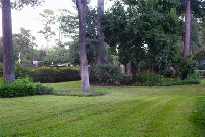 14206 Spring Pines Drive, Tomball, TX 77375 - Photo 46