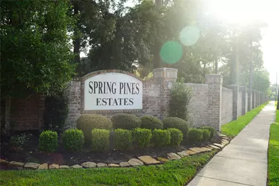 14206 Spring Pines Drive, Tomball, TX 77375 - Photo 50