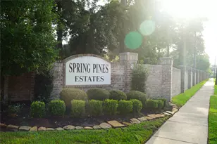 14206 Spring Pines Dr, Tomball, TX 77375 - Photo 50