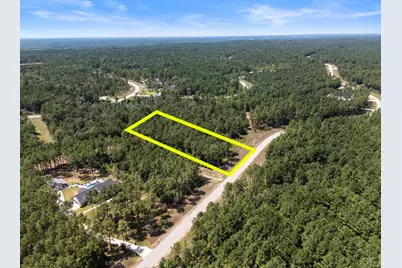 15735 Wooded Trail Way, Willis, TX 77378 - Photo 18