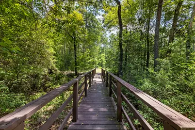 15735 Wooded Trail Way, Willis, TX 77378 - Photo 28